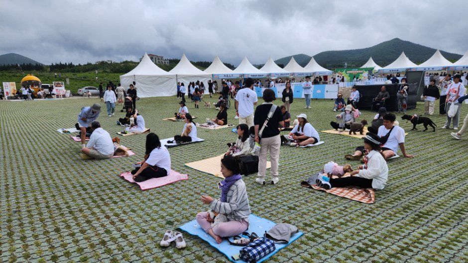 제주 반려동물 행사 체험 참고 사진